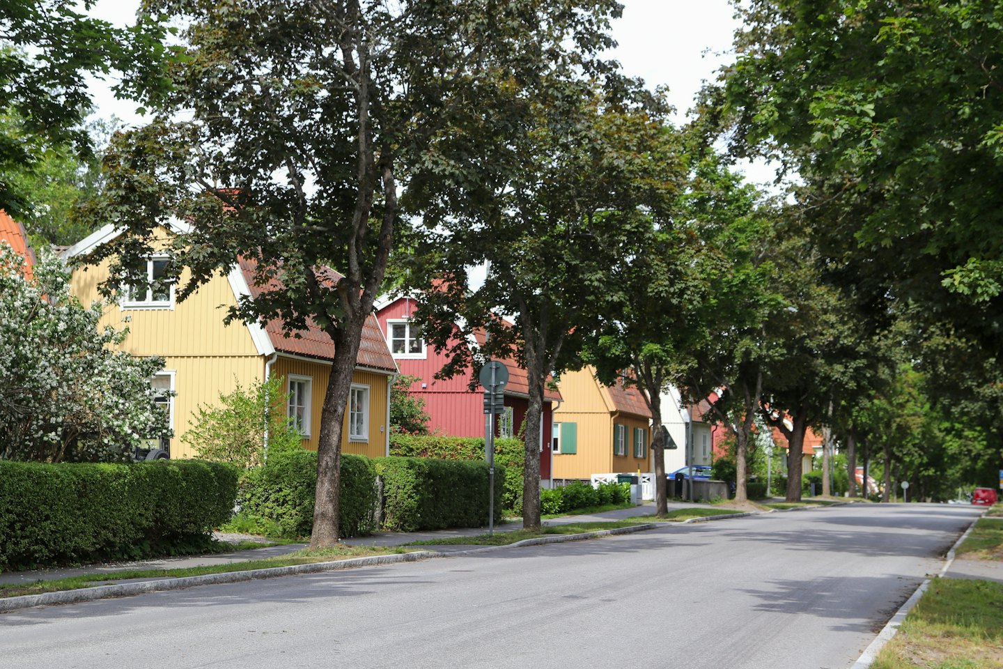 Colorful houses line a quiet street with green trees.